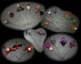 /album/broches/alfileres2-640x510-jpg/